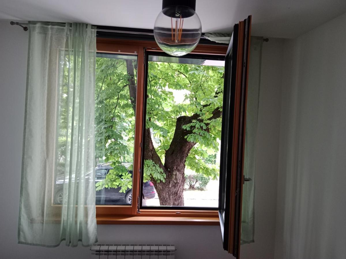Sava Apartment نوفي ساد المظهر الخارجي الصورة