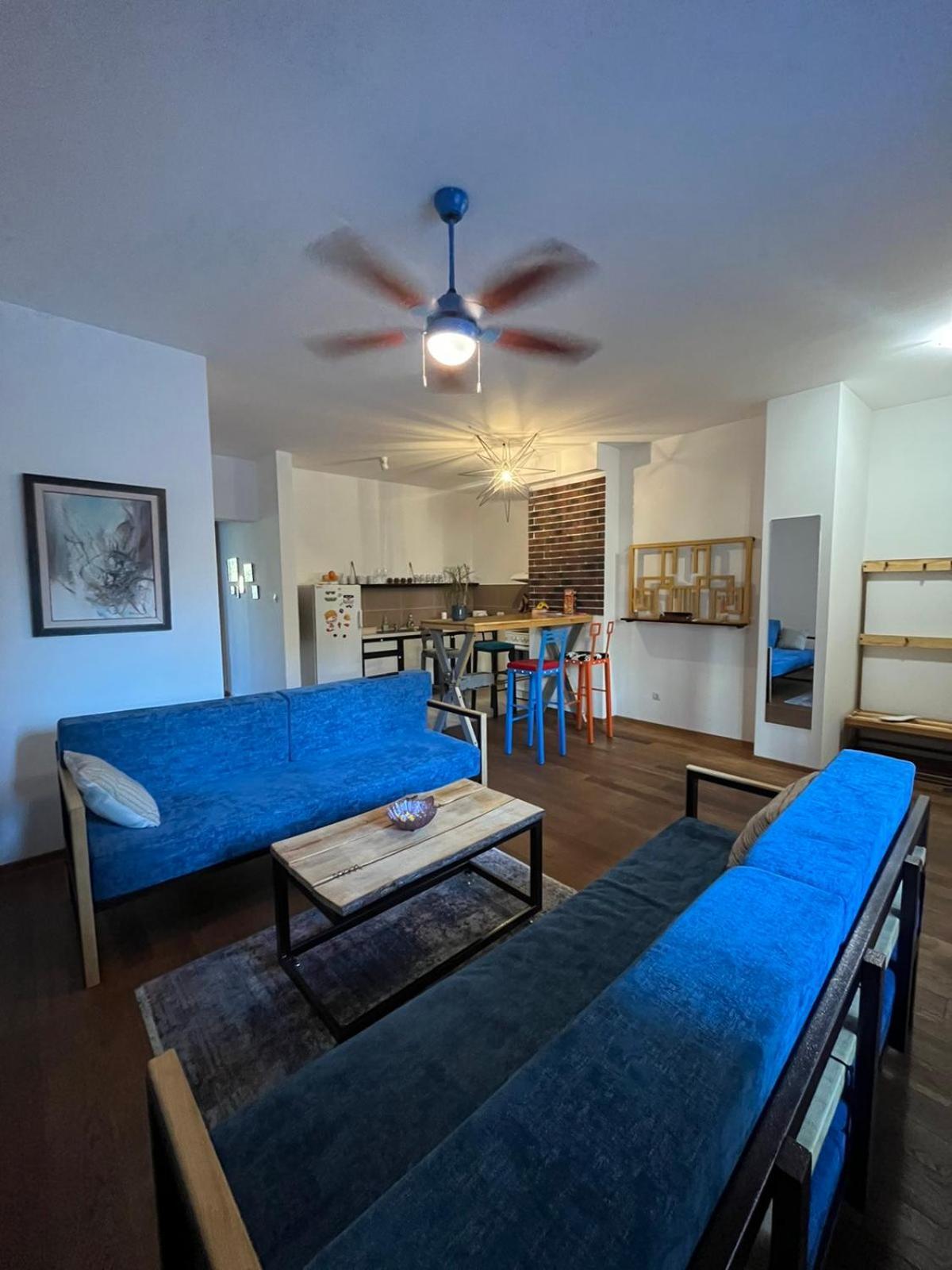 Sava Apartment نوفي ساد المظهر الخارجي الصورة